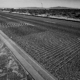 Musical Road in Lancaster, CA